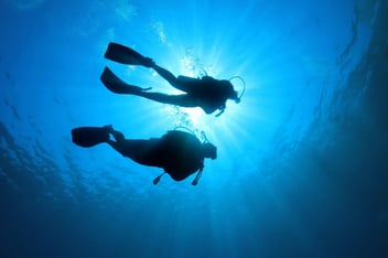 two people scuba diving