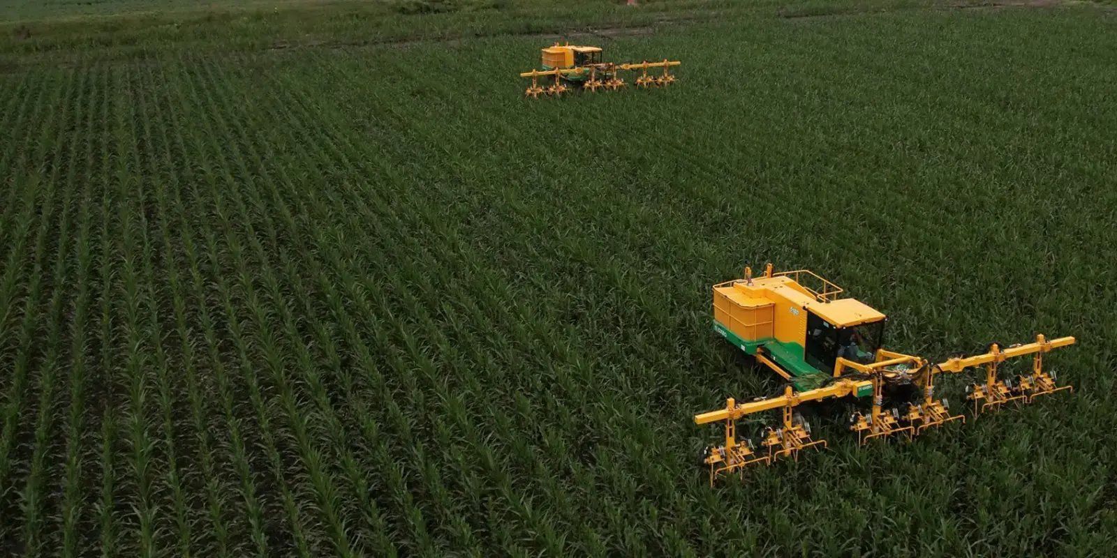  Oxbo International farming equipment managing crops in a field 