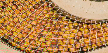 Case Study: Royal Food Service Sale Leaseback of Cold Storage Facility