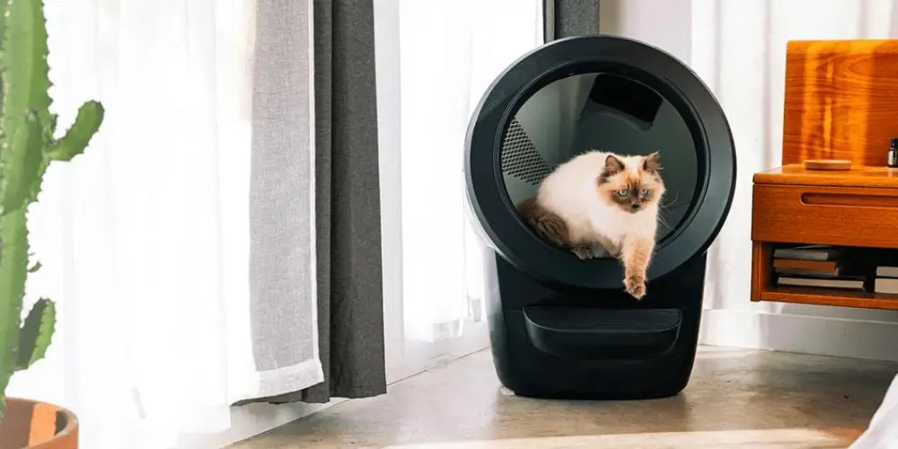 white cat stepping out of a whisker product