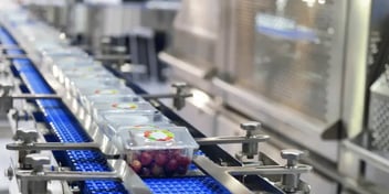 Close-up of a production line in a food processing facility, where clear plastic containers filled with fresh red grapes move along a conveyor belt. The setup suggests a packaging process for produce.