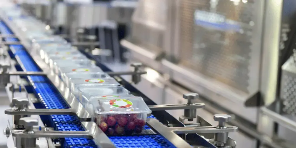 Close-up of a production line in a food processing facility, where clear plastic containers filled with fresh red grapes move along a conveyor belt. The setup suggests a packaging process for produce.